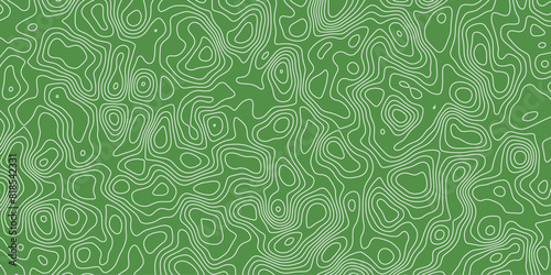 Rhythmic patterns carving depth into flowing dimensions of cartography

