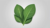A spinach icon with green leaves upscaled_3