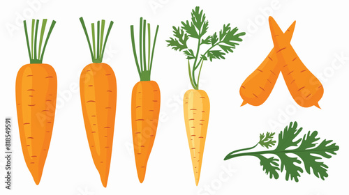 Carrot with tops. Orange tuber and leaf of fresh photo