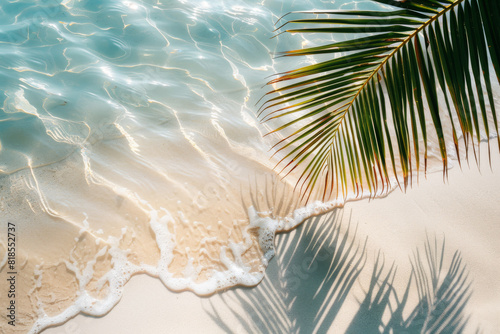 A palm tree leaf is laying on the sand next to the ocean. The water is calm and the sun is shining brightly. The scene is peaceful and relaxing, perfect for a day at the beach