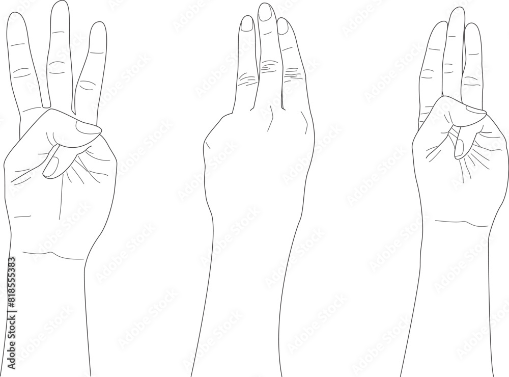 doodle three finger hands with different gesture, hand drawn, outline vector, counting hand doodle three finger hands with different gesture, hand drawn, outline vector, counting hand