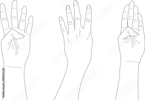 doodle four finger hands with different gesture, hand drawn, outline vector, counting hand	