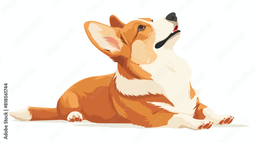 Cute Corgi breed dog. Obedient canine animal pup. Pur