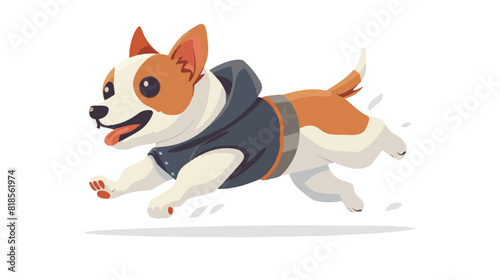 Cute dog running. Happy puppy wearing costume clothes