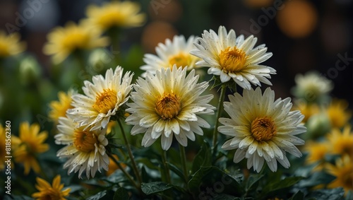 A close up of a bunch of flowers that are green and yellow .