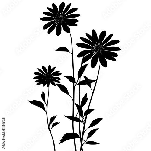 Daisy silhouette, daisy svg, daisy png, daisy illustration, Daisy, Silhouette flower, floral svg, herb svg, flower illustration, flower, floral, vector, nature, illustration, spring, design, pattern, 
