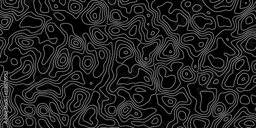 Cartographic motion harmonizing science with creative artistry

