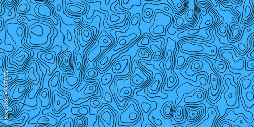 A portrait of elevation embracing the rhythm of dynamic fields

