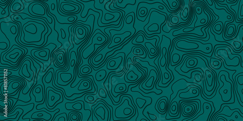 A portrait of elevation embracing the rhythm of dynamic fields

