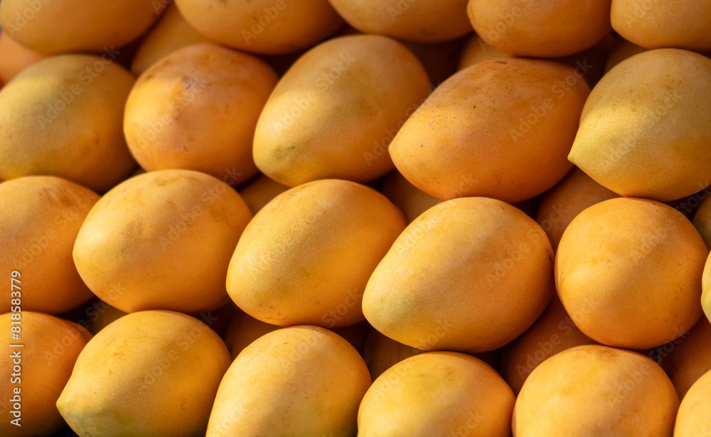 Yellow mango on a counter in a market Yellow mango on a counter in a market