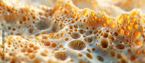 Revealing the Intricate Layers of Human Skin in a Highly Magnified D Rendering photo