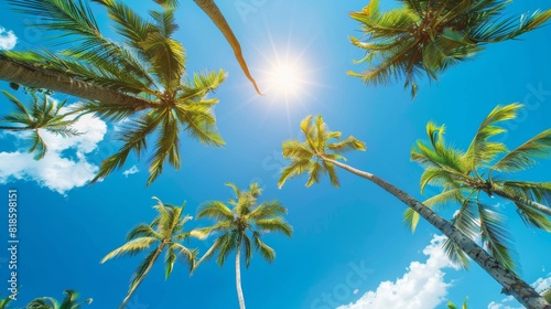 Vibrant palm trees against a cloudless blue sky, viewed from below, sunlight filtering through the leaves