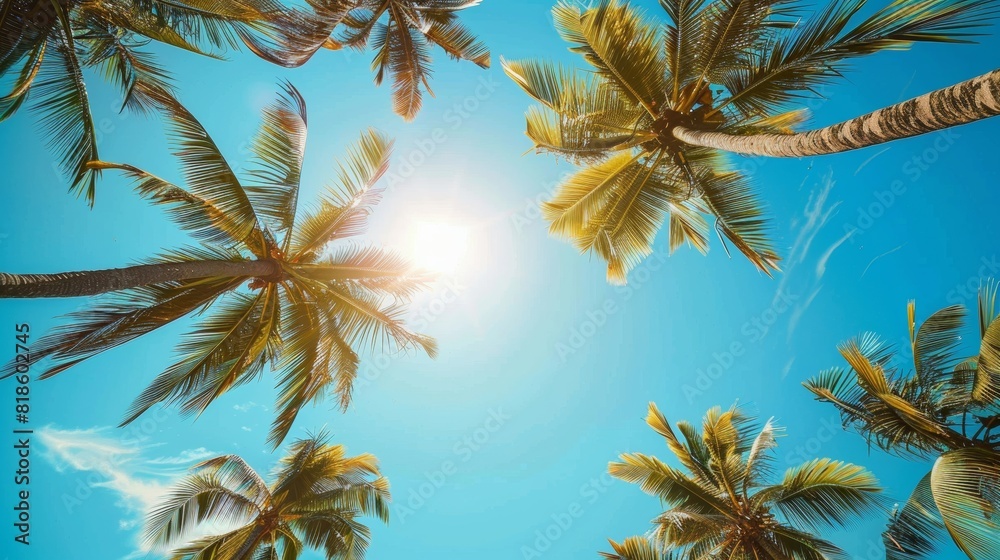 Sunlit palm trees with clear blue sky, viewed from ground level, creating a tropical haven ambiance