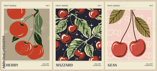 Set of Abstract Fruit Market retro posters. Trendy contemporary wall arts with cherry fruit design in sage green colors. Modern naive groovy funky interior decorations, paintings. Vector illustration. photo