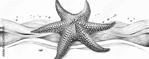 Starfish hand drawn engraving style sketch Underwater animals. vector simple