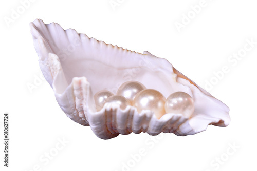 Pearl shell isolated on white background