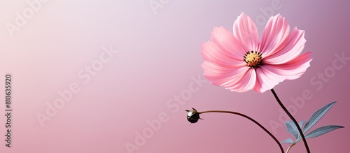 A vibrant and organic backdrop featuring a pink flower against a copy space image