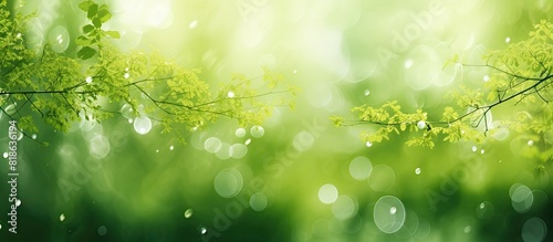 A natural background with green colored abstract bokeh sunlight and trees perfect for adding a copy space image