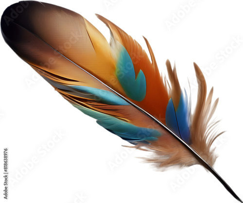 Close-up of rainbow-colored feathers inspired by the rainbow lorikeet.