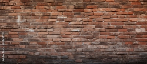 An aged brick wall serves as the backdrop for this copy space image