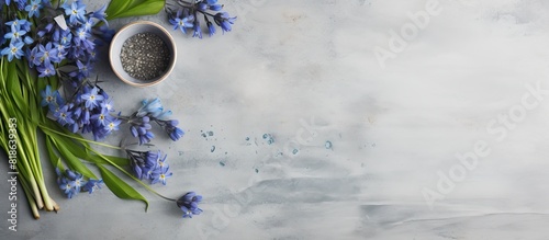 Concrete background with copy space image showcasing a spring table setting adorned with blue scilla siberica flowers photo