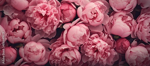 A close up image of peonies with a floral background providing ample copy space