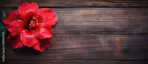 Closeup image of a vibrant red flower from Thespesia populnea beautifully showcased on a wooden background with ample copy space photo