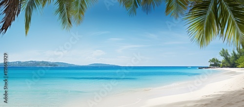 A serene tropical beach scene with palm trees and a vibrant turquoise sea offering plenty of copy space for an image