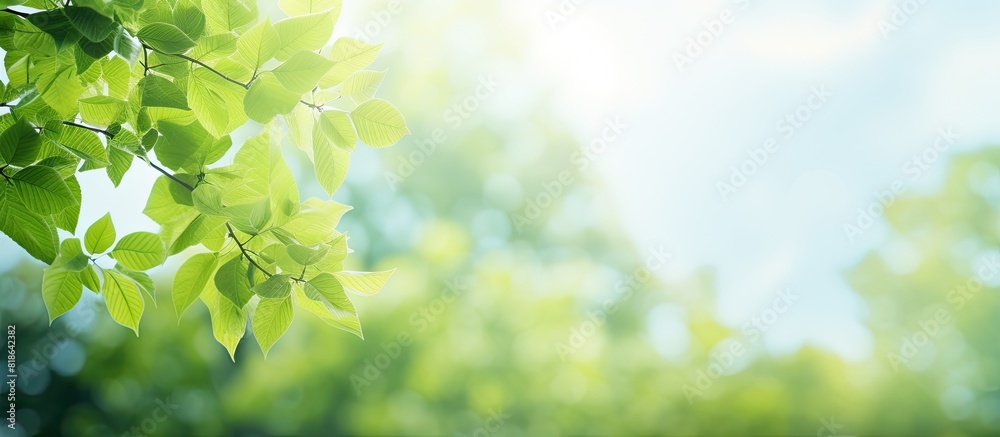 A vibrant copy space image with lush green leaves capturing the essence of summer or spring