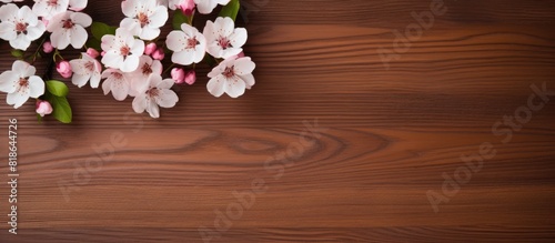 Top view of a brown wooden background with a bouquet of cherry blossoms and an empty space for text on the right copy space image © HN Works