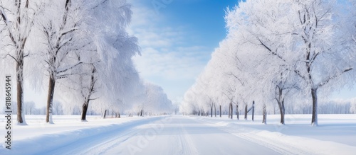 A winter park road landscape with an empty and snow covered straight street The wide alley in the outdoor park is devoid of people during the cold winter season A pathway leads forward in this scenic © vxnaghiyev