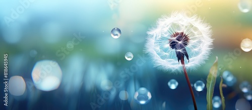 Abstract and nature postcard featuring a dandelion with a water droplet The vibrant backdrop provides a soft colorful setting with ample copy space for words Check my profile for more designs featurin photo