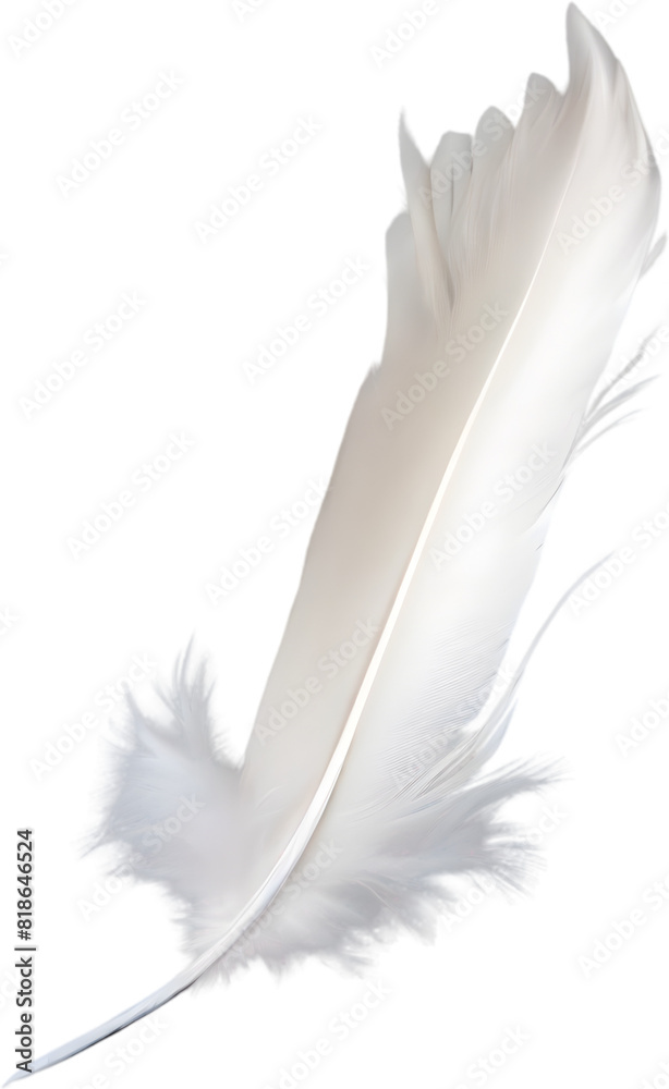 Obraz premium Close-up of white feathers inspired by a white cockatoo.