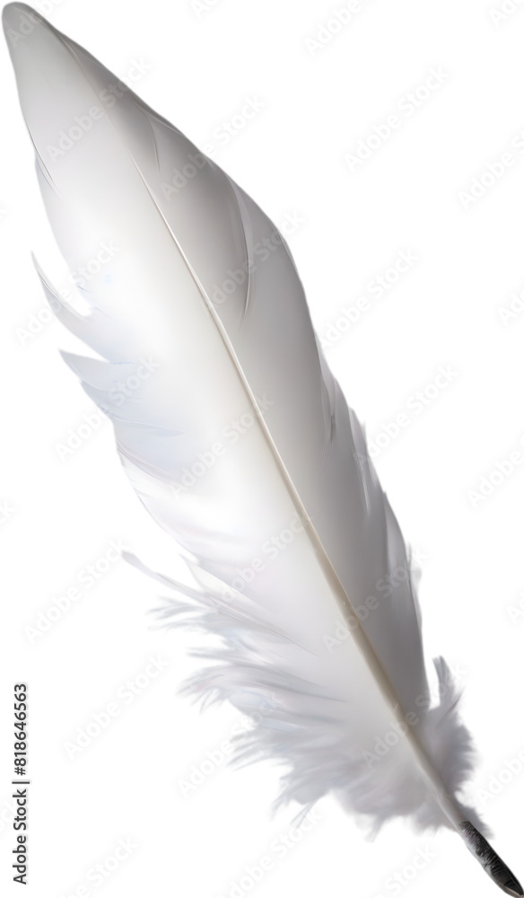 Close-up of white feathers inspired by a white cockatoo. Close-up of white feathers inspired by a white cockatoo.