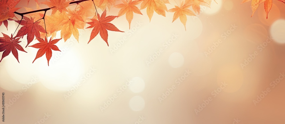 Autumn foliage with copy space image Autumn foliage with copy space image