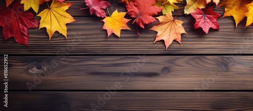 Top view image of colorful autumn leaves on a wooden table with ample space for copy