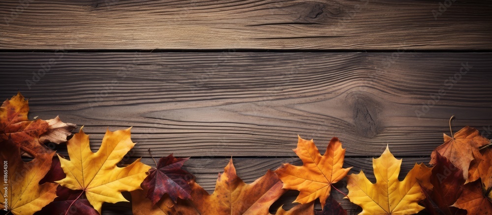 Flat lay of dry autumn leaves from a maple tree on a wooden table providing copy space for text Flat lay of dry autumn leaves from a maple tree on a wooden table providing copy space for text