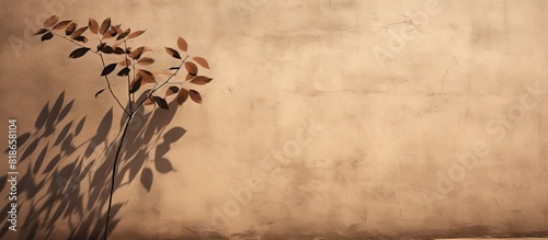 The abstract tree casts leaf shaped shadows on a textured wall The wall is brown with roughness and irregularities The image has trendy colored nature concept background and provides copy space for t photo