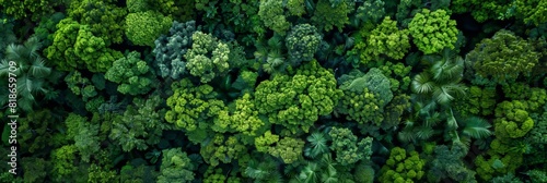 Aerial View of Lush Forest Ecosystem Background Generative AI © Alex