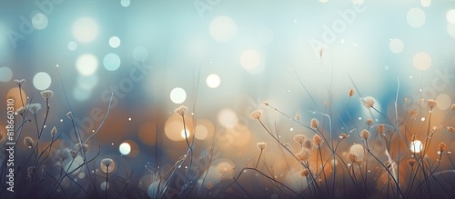 A blurry bokeh background with abstract nature elements designed to advertise your text on a backdrop with ample copy space