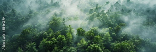 Misty Forest Aerial View for Nature Themes Generative AI