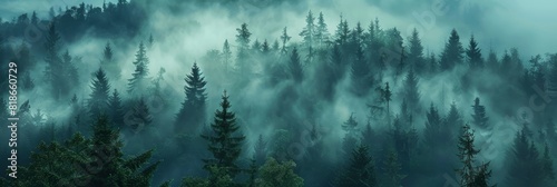 Mystical Foggy Forest Landscape for Travel and Adventure Generative AI