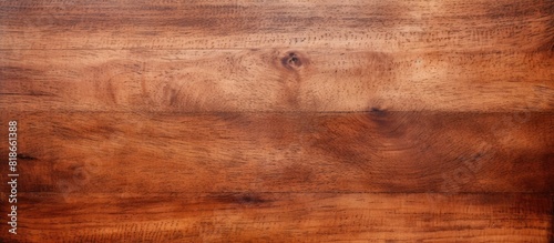 Wallpaper Mural An aged surface with textured plywood offers a captivating background for a copy space image Torontodigital.ca