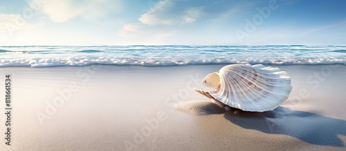 A partially buried calcified seashell dried and weathered rests in the pristine white sand of the beach Tidal ripples add to the beauty of the scene creating a serene copy space image photo