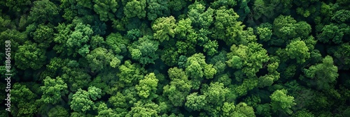 Aerial View of Lush Forest Canopy for Nature Backgrounds Generative AI