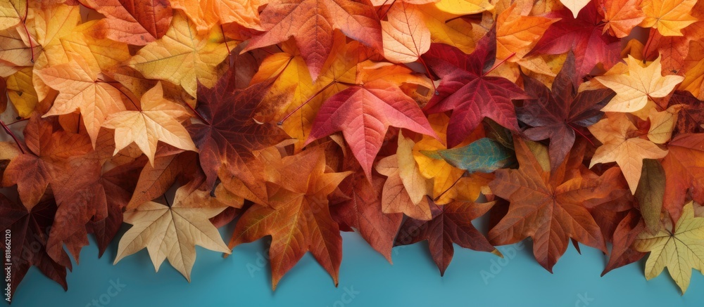 The background of autumn leaves with copy space image The background of autumn leaves with copy space image