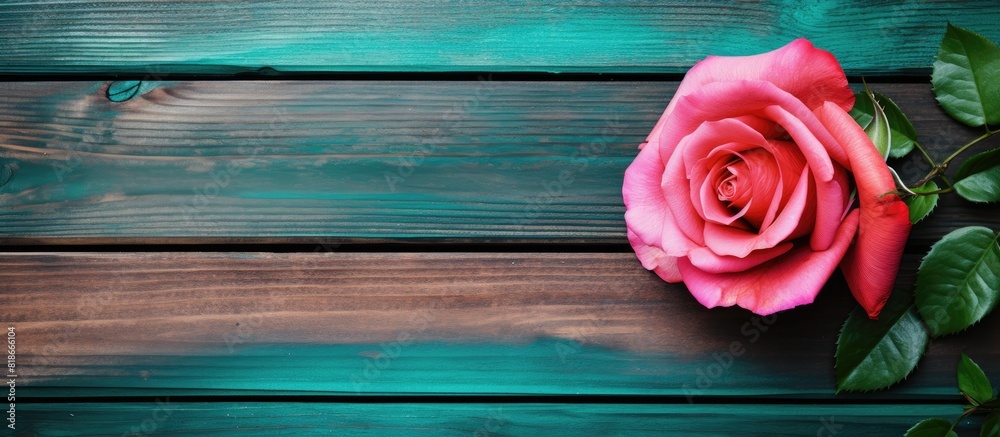 In a full frame view a colorful background texture of green stained wood is complemented by a single rose colored wood plank border at the top creating an excellent copy space image