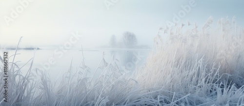 Copy space image of a frozen lake surrounded by icy reeds captured in a scenic winter landscape photograph
