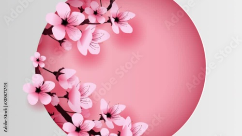 paper art and craft circle decorated spring season cherry blossom concept,Springtime with sakura branch, Design Floral Cherry blossom with pink flowers on text space background. zoom animation motion