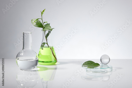 White color tones photo, a boiling flask with transparent liquid, erlenmeyer filled by green liquid and decorated by a branch of green tea, a petri dish and crystal ball displayed on the other side